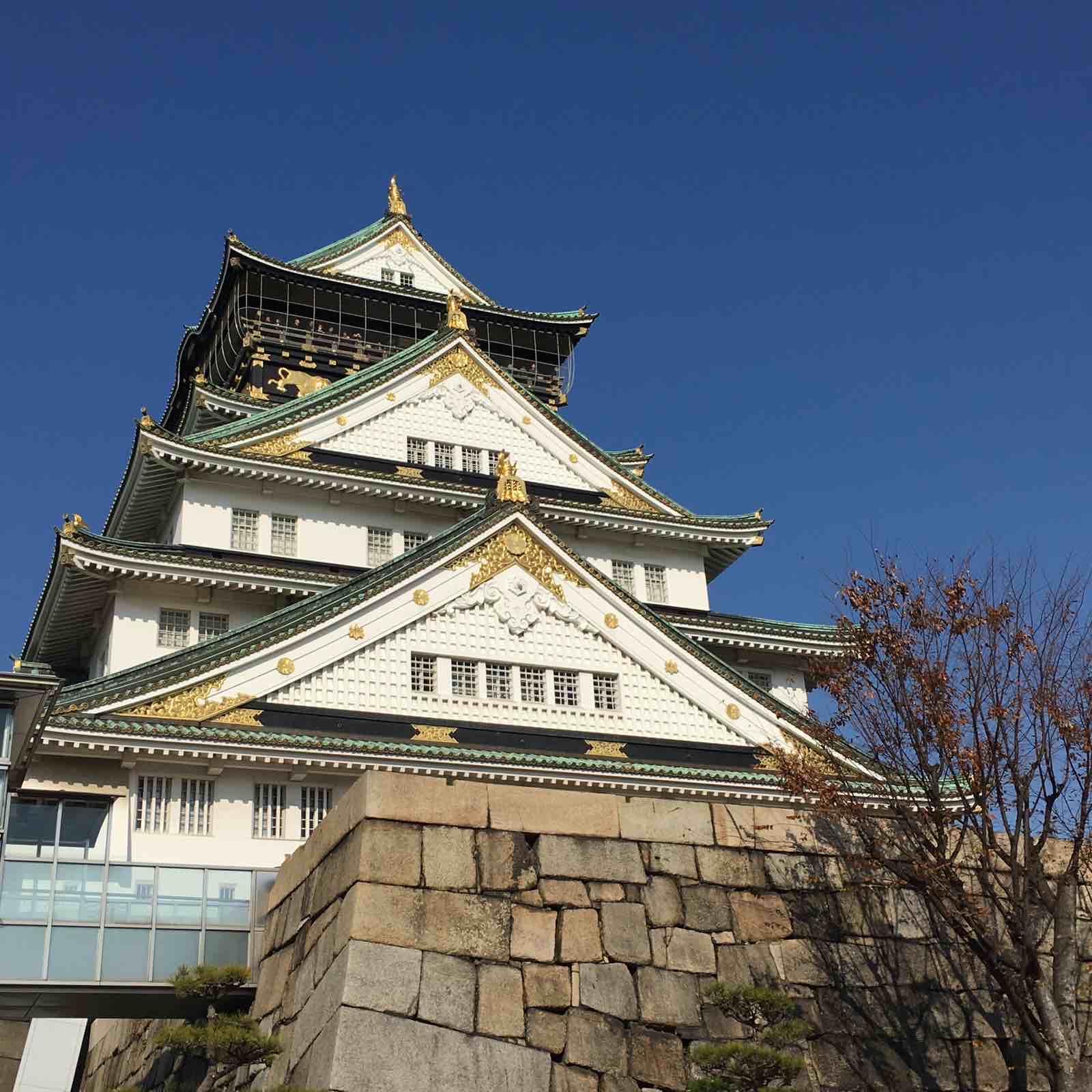 福岡の住宅は馬渡ホーム