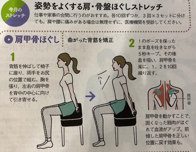 福岡での家づくりは馬渡ホーム