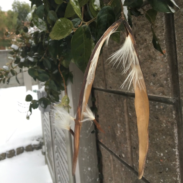 福岡での家づくりは馬渡ホーム