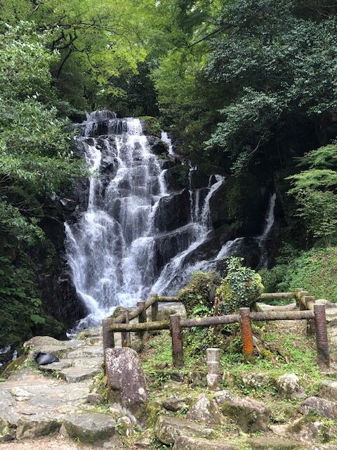 福岡での家づくりは馬渡ホーム