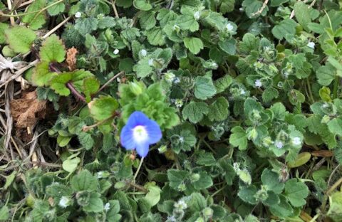 福岡での家づくりは馬渡ホーム